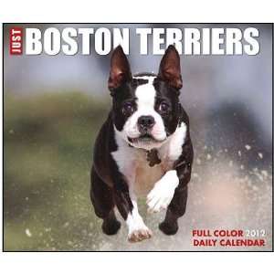  Just Boston Terriers 2012 Desk Calendar