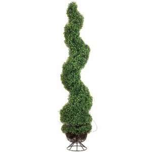  5 Spiral Boxwood Topiary