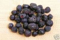 Freeze Dried Blueberries Dehydrated Survival Food Can  