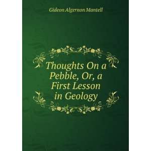   Pebble, Or, a First Lesson in Geology Gideon Algernon Mantell Books