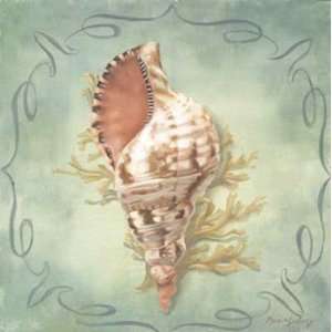    Seashells I   Poster by Marissa Decinque (6x6)