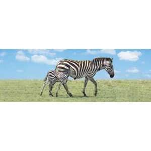  Mooviestudios 3 D Bookmarks Zebras