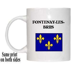  Ile de France, FONTENAY LES BRIIS Mug 