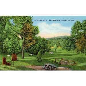 1940s Vintage Postcard Detweiler Park Picnic Grounds   Peoria Illinois