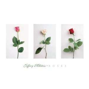  Jeffrey Milstein   Roses Size 26x16 by Jeffrey Milstein 