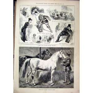 Victoria Theatre Scenes 1880 Russian Trotting Horses