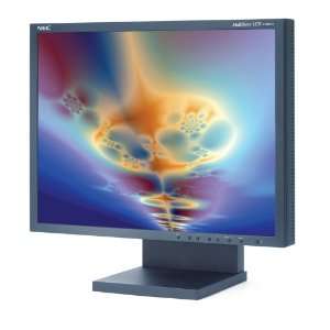   LCD Monitor with SpectraViewII Color Calibration (Black) Electronics