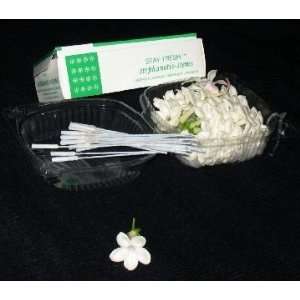  Stephanotis Stems White Pack of 200 Arts, Crafts & Sewing
