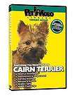 CAIRN TERRIER ~ Puppy ~ Dog Care & Training DVD + BONUS