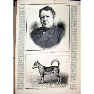   1879 Portrait Mr Buckstone Dingo Dog Australia Farmers