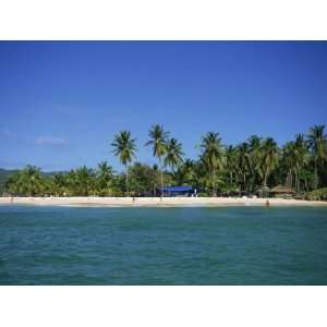  Tropical Coastline of Cayo Levantado, Dominican Republic 