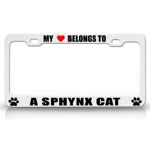  MY HEART BELONGS TO A SPHYNX Cat Pet Auto License Plate 