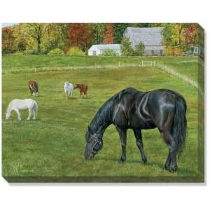  Horses Wrapped Canvas by Rollie Brand