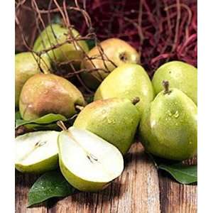 Organic Pears Grocery & Gourmet Food
