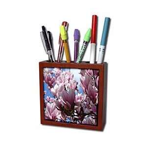   Saucer Magnolias Spring   Tile Pen Holders 5 inch tile pen holder