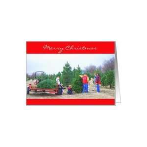  Merry Christmas Choosing the Tree Card Health & Personal 