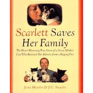  Scarlett Saves Her Family [Hardcover] Jane Martin Books