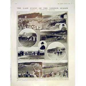   London Goodwood Race Horse Painting Chrysantheme 1913