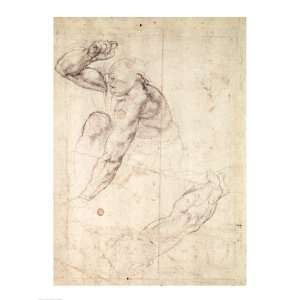  Male figure study   Poster by Michelangelo Buonarroti 