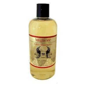  Migliore Citro Shampoo Automotive