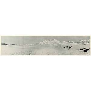   Panorama Inlet Greenland Sea Sled Dogs Spitz   Original Halftone Print