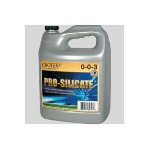  Pro Silicate Qt 