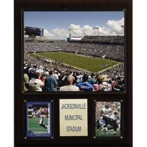  Jacksonville Jaguars Jacksonville Municipal Stadium 12x15 