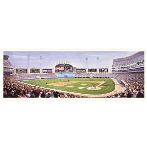  Chicago White Sox New Comiskey Park Lithograph Sports 