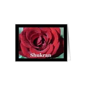  Shukran means Thank you in Arabic   Red Rose Card Health 