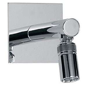  Shower Heads  Slide Bars by Whitehaus   G9917 in Polished 