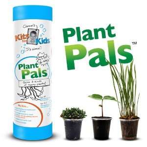  Connors Kits for Kids Plant Pals Toys & Games