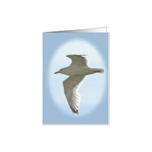 Flying Seagull Note Card Card