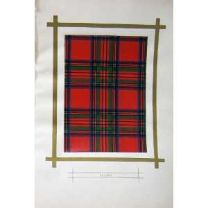 Scottish Highland Clan Stuart Tartan Red Blue Green