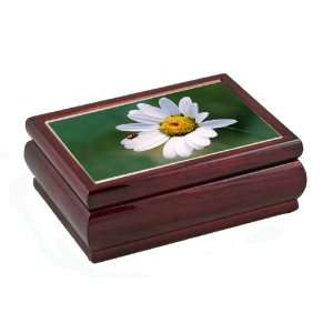  Cutest Musical Jewelry Box With Daisy And Ladybug 