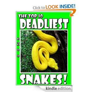 The Top 10 Deadliest Snakes (The eZoo for Kids) Cody Morrow  