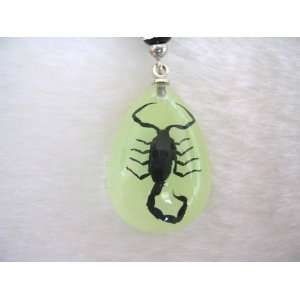   Real Black Scorpion Charm For Cell Phone Glow in Dark 