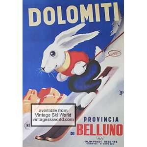  Dolomiti   Rabbit Poster