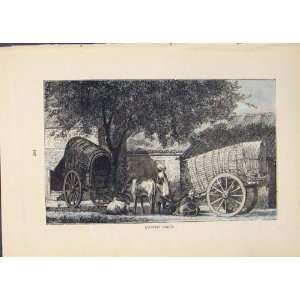  Cart Carts Rural Country Horse Cow Antique Print Art