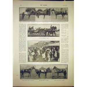  Ascot Horse Races Procession Royal Winner Print 1902