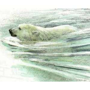  Robert Bateman   Polar Bear Swimming Predator Portfolio 