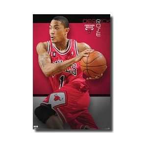 Bulls Derrick Rose Poster 