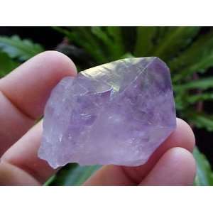  Zs7313 Gemqz Amethyst Rought Point Root Rio Grande Do Sul 