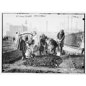    School children outside digging,making garden