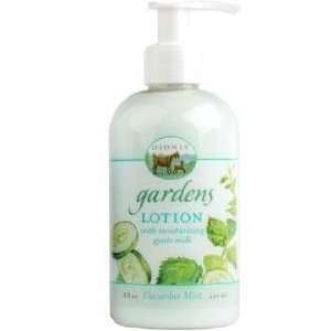  Dionis   Gardens Lotion Cucumber Mint, 8 Oz. Beauty