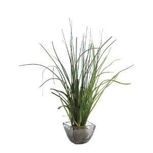  17 Beach Grass in Glass Vase Green (Pack of 4)