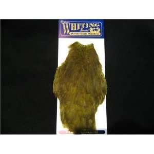  Whiting American Hackle Hen Cape