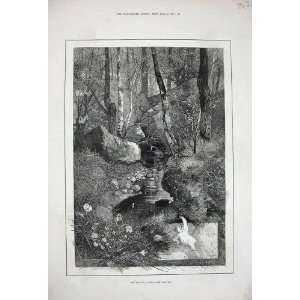  Montbard April 1880 Stream Trees Country Rocks Print