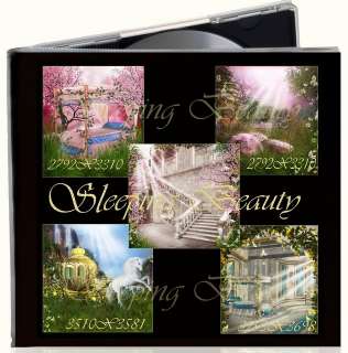 Sleeping Beauty Fairytale Digital Fantasy Backgrounds  