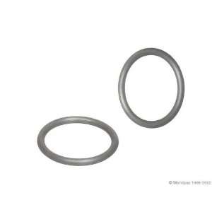  Ishino F2101 40932   Distributor O Ring Automotive