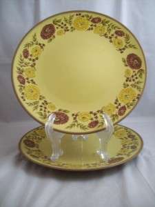 Set of 2 Taylor Smith Taylor Indian Summer Dinner Plate  